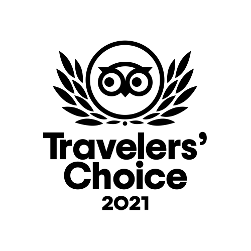 TC-Winner-2021