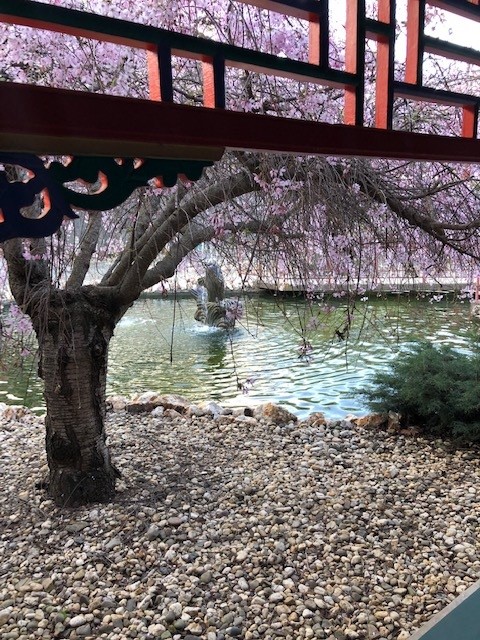 Yi Yuan Gardens 2021